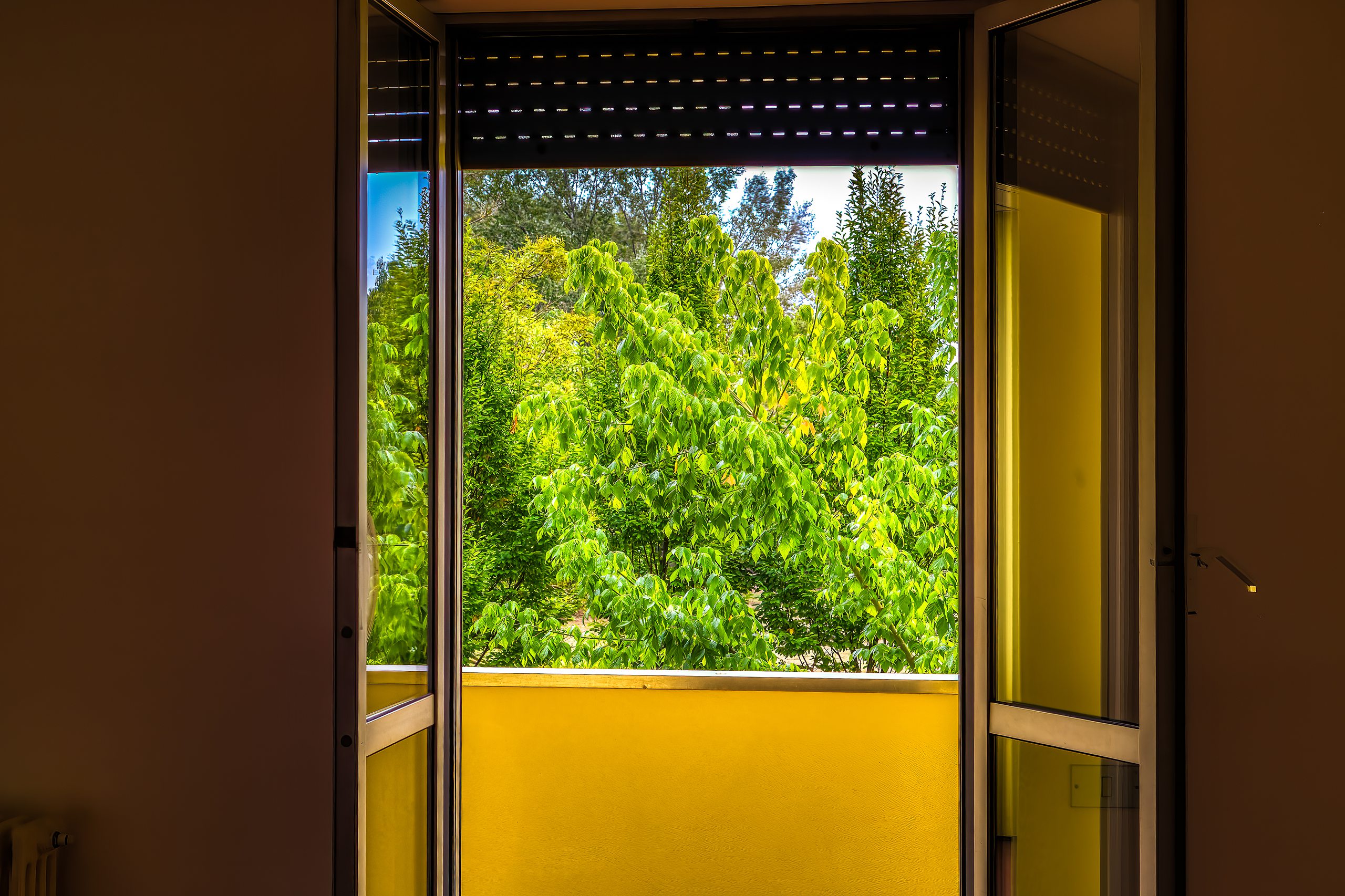 Gli alberi del Parco della Pace visti dal balcone in estate